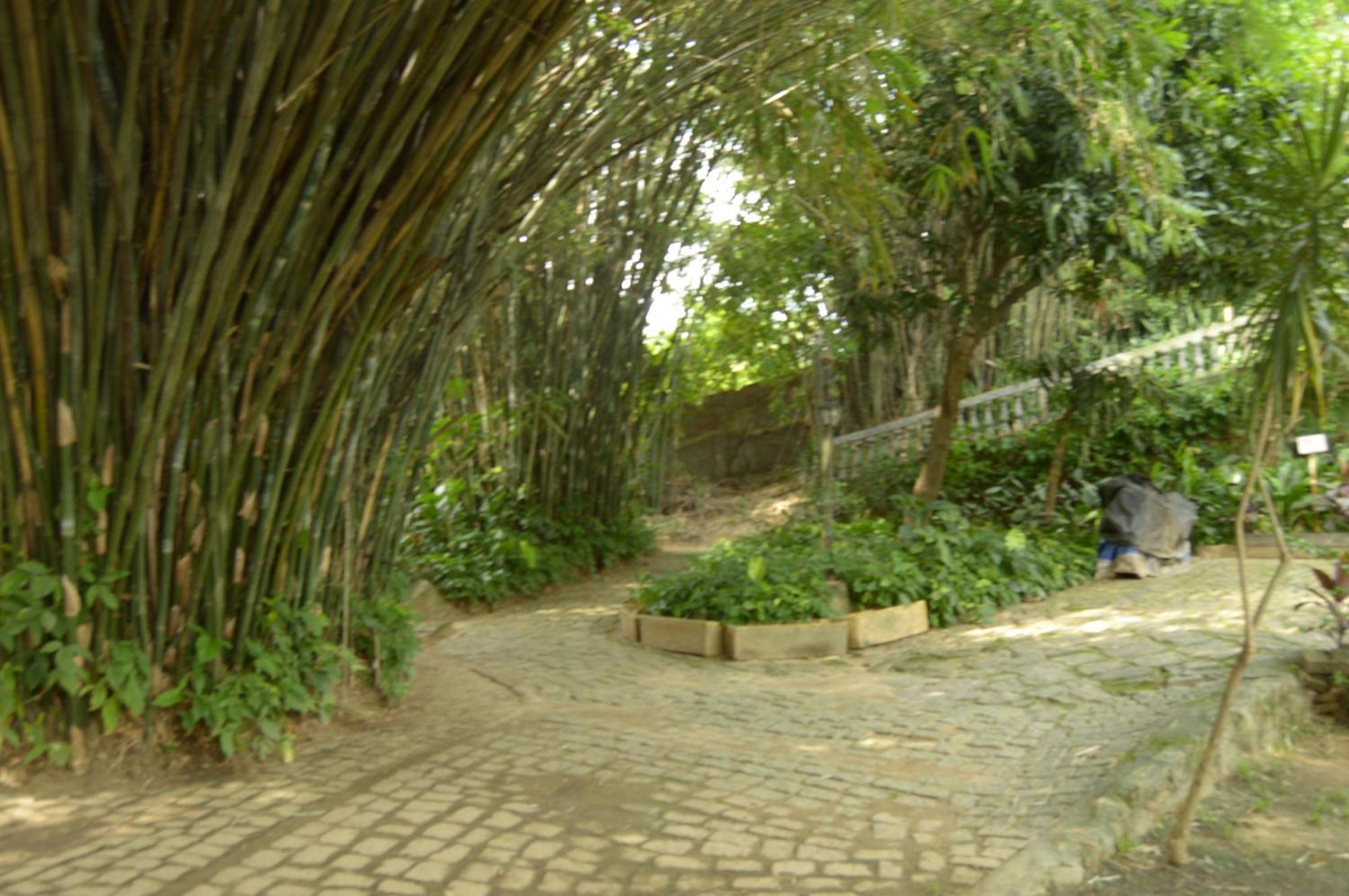 Rio Natureza Adaptado Apart 101 Rio de Janeiro Buitenkant foto
